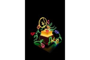 Gramófono de Leticia Maldonado