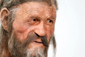 Ötzi_G11.jpg