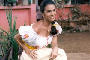 Bibi Gaytán telenovelas