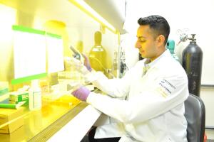 salud dreamers california