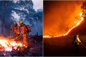 incendios Los Ángeles Post Fire