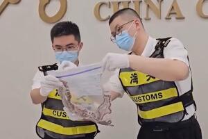 Serpientes aduana China