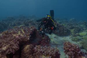 In the heart of the Indian Ocean atolls. Aboard a scientific expedition 11_119425-2x.jpg