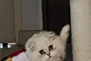 Publicación Belinda tras boda Christian Nodal