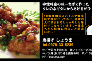 helado-de-pollo-frito-6.png