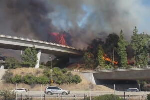 Incendio _Eagle_Rock_1.jpg
