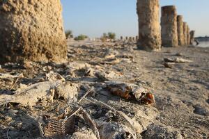 Salton Sea, California