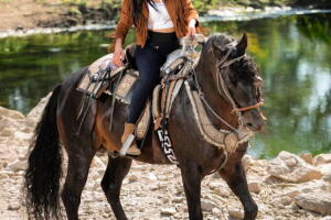 Zareala Figueroa Novelas 