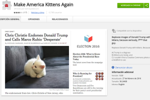 kittens.png