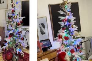 El árbol de Navidad "moderno" de Erika Buenfil