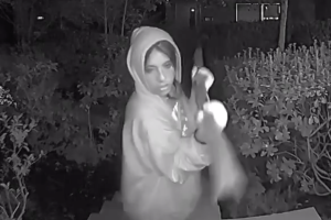 vandalismo.jpg