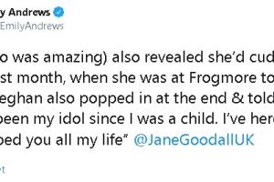 tuit emily y experta.jpg