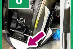 TSA Curiosidades