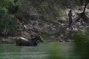A man bathes a horse on the Mexican side of the Rio Grande as seen from the U.S. side near Mission