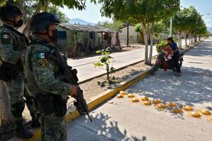 MEXICO-US-VIOLENCE-AVOCADO