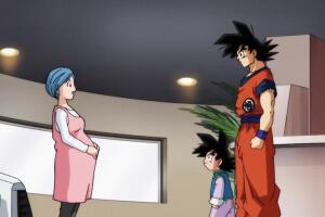 Bulma embarazada