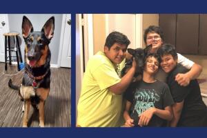 Mable la perrita que salvó a su dueño hispano de un asalto. 