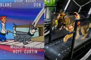 Caminadoras de perros - Predicciones Supersónicos del futuro.jpg