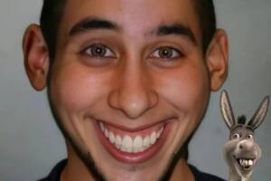 Inteligencia Artificial muestra cómo se vería Burro en la vida real