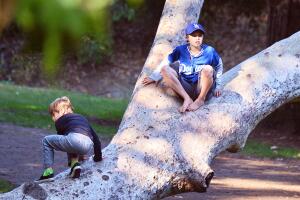 Hijos Brad y Angelina