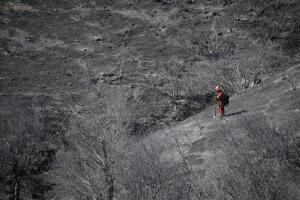 California Wildfires