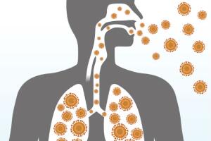 diferencas-de-gripe-e-rinite-5.jpg