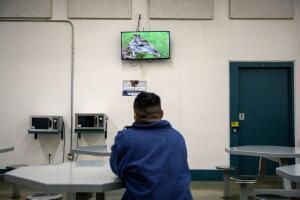 Immigration Courts
