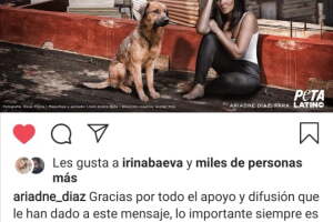 ARIADNE DÍAZ PLAYA 13.jpg