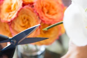 flores-truques-cuidar-1.jpg