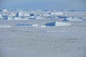 Antarctica Wilkins plataforma de hielo