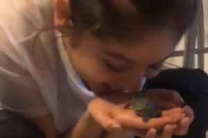 Karol tortuga 02.PNG