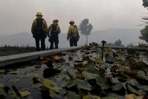 California Wildfires Blackout