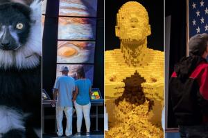 Atracciones Dallas Texas