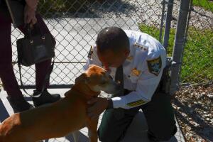 Perro salvado por la policía de Lee, Florida