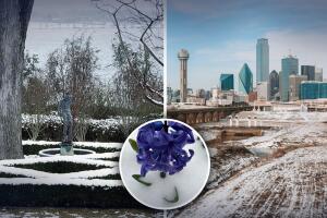 Tormenta Invernal norte de Texas 2022.jpg