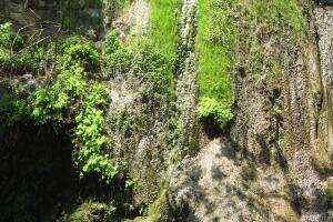 Escondido Falls _2.jpg