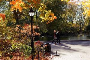Los últimos rastros del otoño en NYC