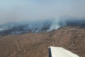 Freeman Fire ha quemado más de 32,000 acres al sur de Arizona, pero avanza contención