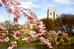 Los lugares más seguros para vivir