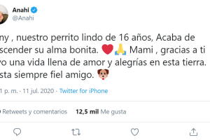 anahi perro1.jpg