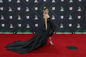 22nd Annual Latin GRAMMY Awards - Arrivals