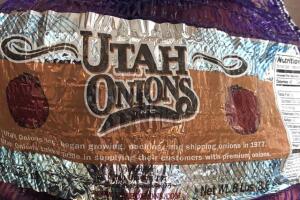 Galería cebollas/Image 5_23.jpg