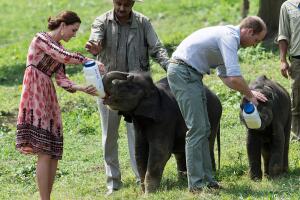 Kate Middleton e Príncipe William