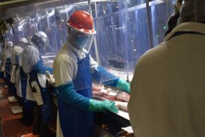 Tyson, Columbus Junction (ESP)