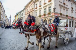 Horse carriage at old town, Krakow, Poland