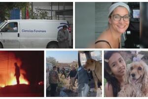 BeFunky-collage (3) (1).jpg