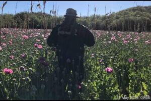 Espías de los narcotraficantes en la frontera