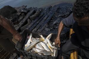 Venezuela Fishing In Oil