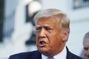 trump elecciones fraude
