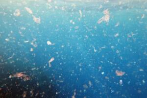 Sea water contaminated by micro plastic.